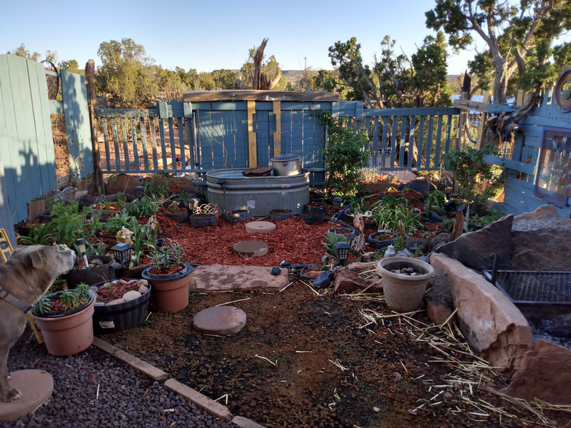 Garden beds in bloom